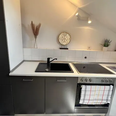 Ferienwohnung Dusseldorf & Essen 公寓